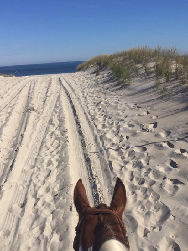Riding Horses at the Beach 2016