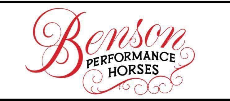 Benson Performance Horse Training in Saugus