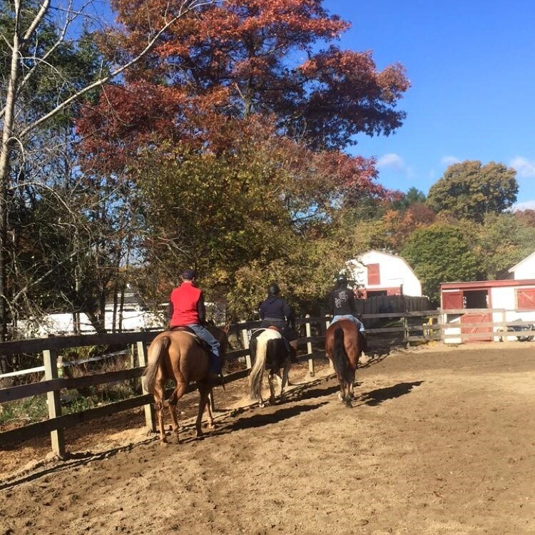 Horse Boarding at Indian Rock Stables in Saugus
